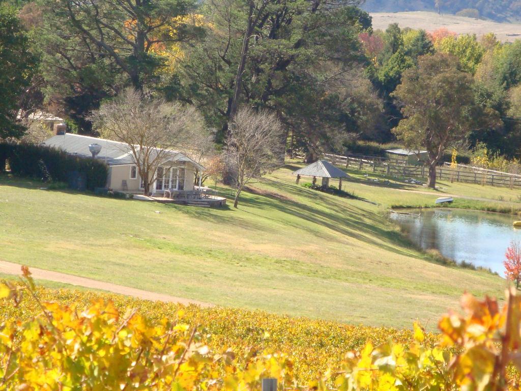 Mayfield Vineyard Orange Exterior photo